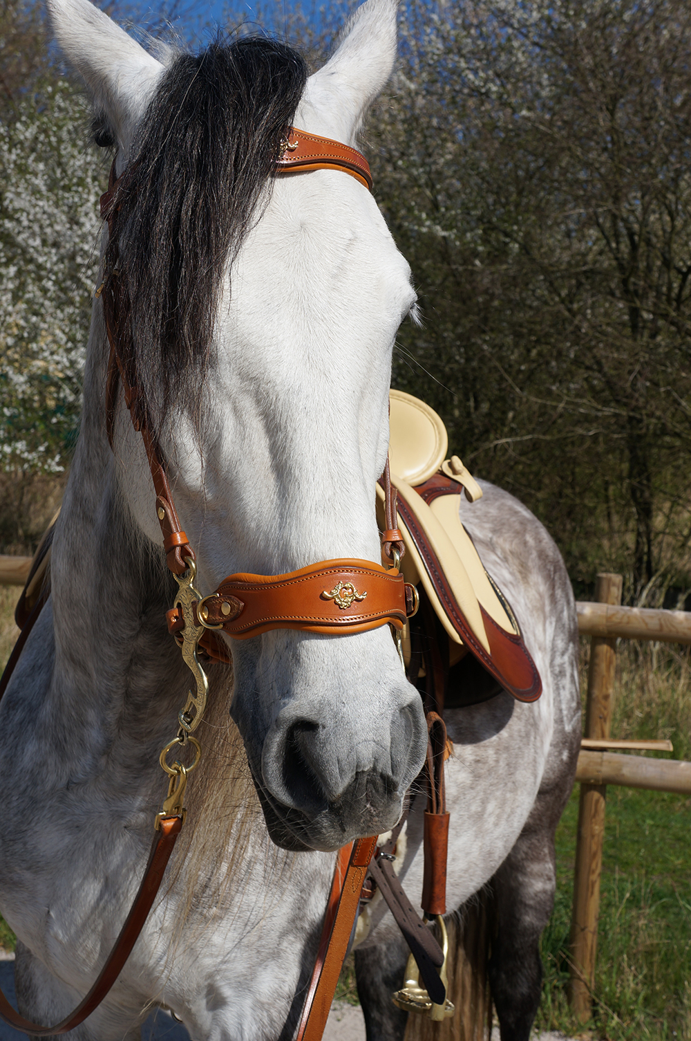 Hackamore bridle Noble by Opux®, natur - 5