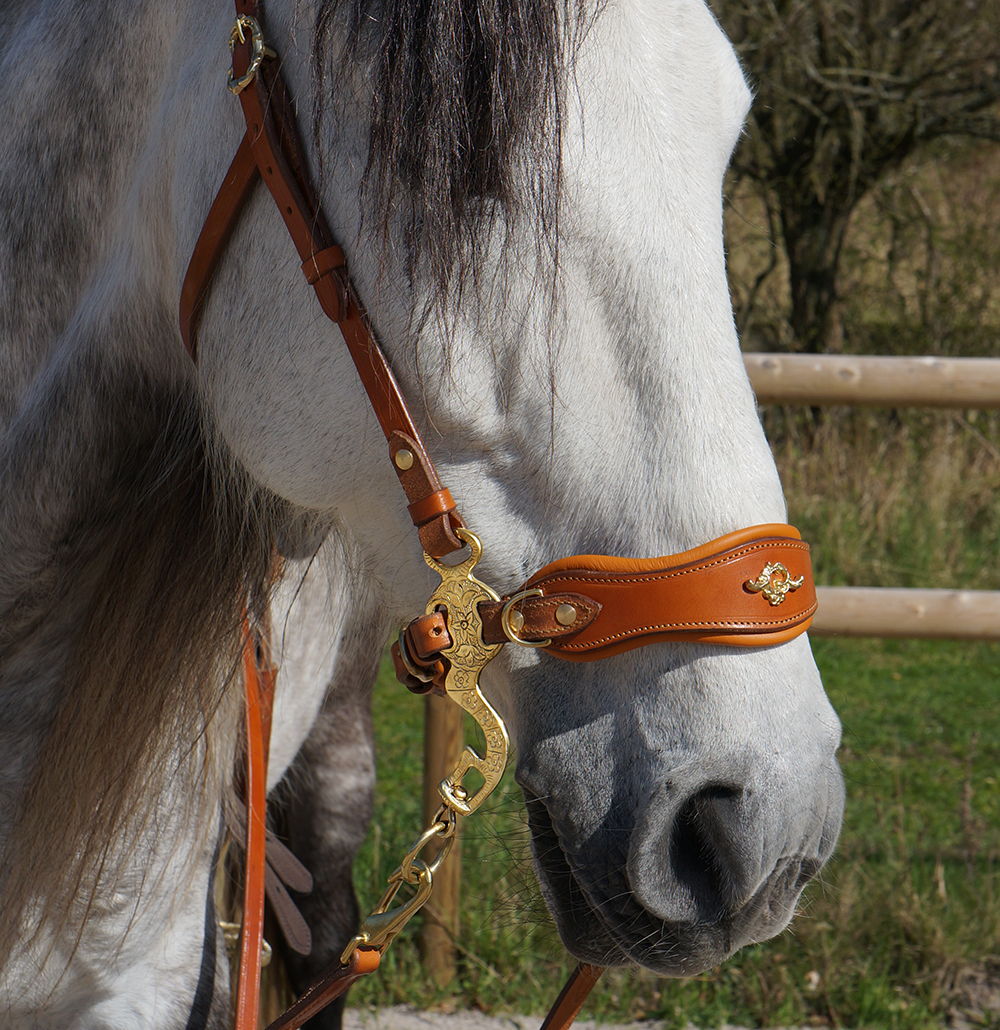 Hackamore bridle Noble by Opux®, natur - 3
