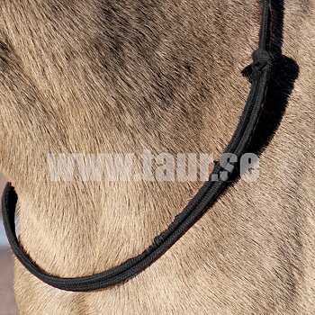 Halsring / cordeo Brockamp (styv), svart