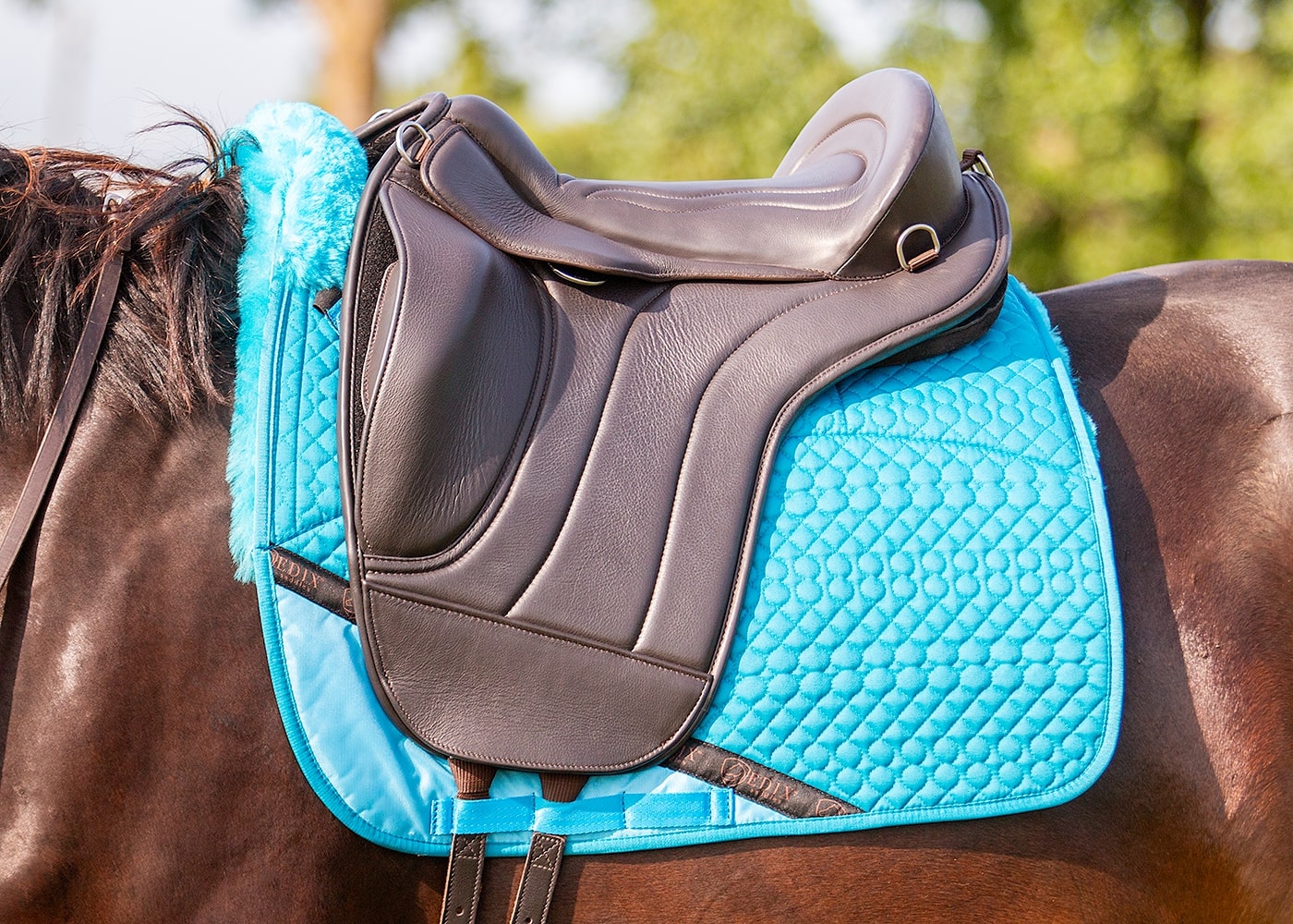 EDIX® Union, ridpad / barbackasadel, läder, brun