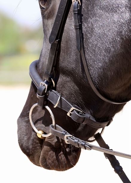 Barefoot® Shape It noseband - 5
