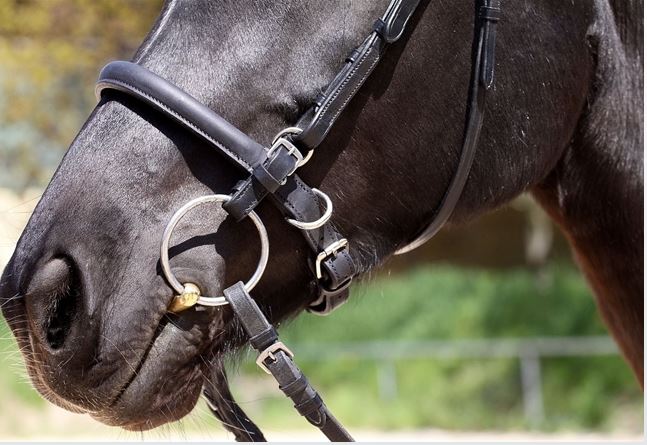 Barefoot® Shape It noseband - 4
