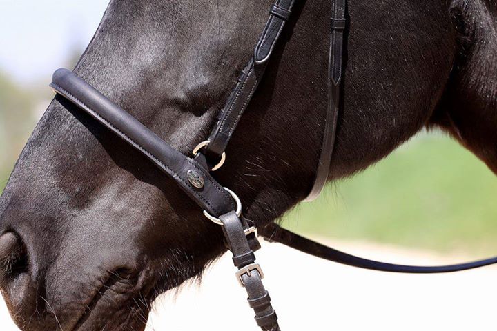 Barefoot® Shape It noseband