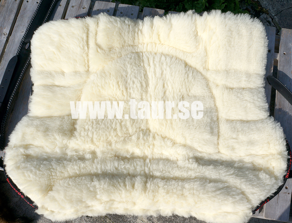 Pioneer® Ridpad Barbacka OUTBACK (Läder & merinoull), svart - 5