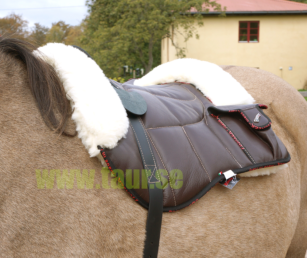 Pioneer® Ridpad Barbacka OUTBACK (Läder & merinoull), brun - 3