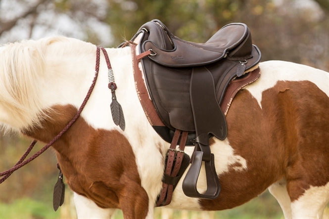 Barefoot® Cheyenne (leather saddle), brown - 2