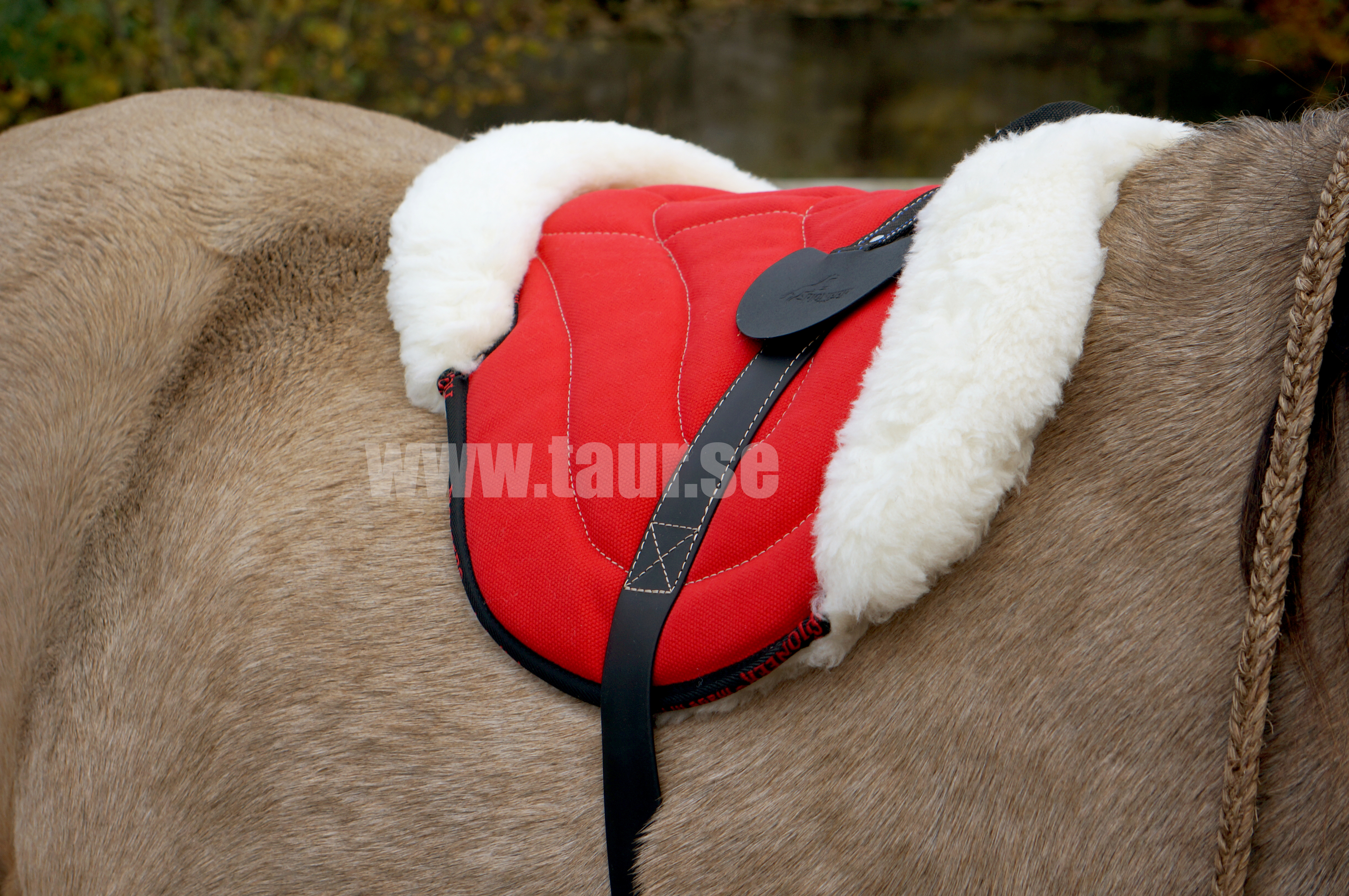 Pioneer® Ride pad / Barebackpad PONY (Canvas  and merino wool), black - 8