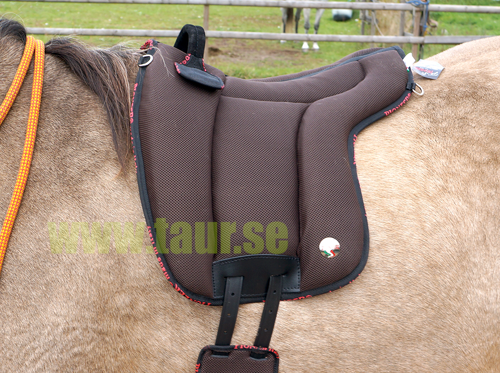 Pioneer® Ride pad / Barebackpad (AirMesh) full, black - 2