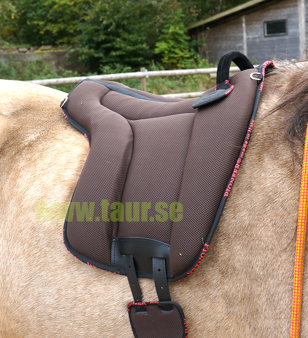 Pioneer® Ride pad / Barebackpad (AirMesh) full, black - 3