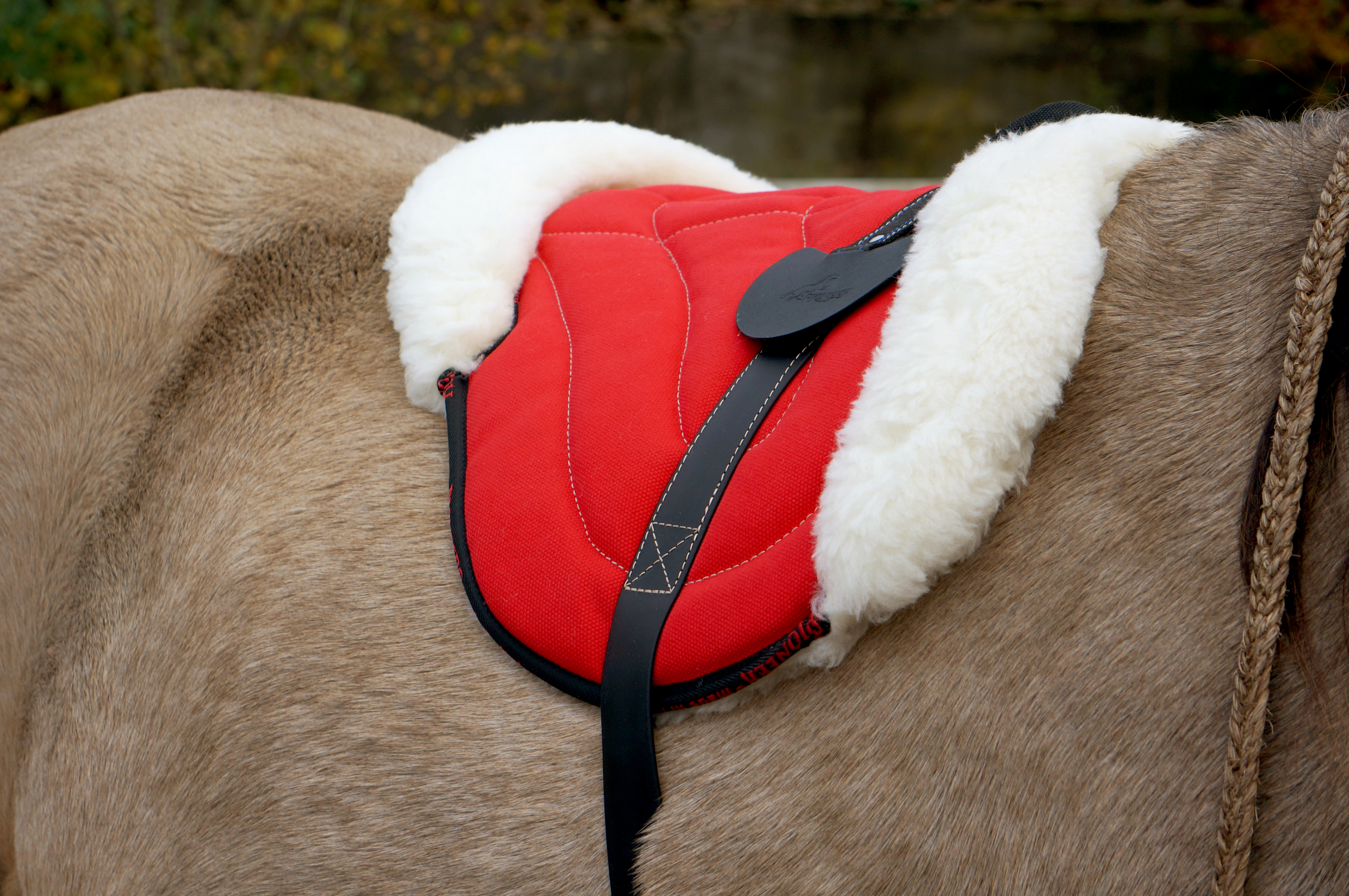 Pioneer® Ride pad / Barebackpad PONY (Canvas and merino wool), beige - 2