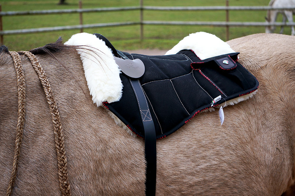 Pioneer® Ridpad Barbacka i bomullscanvas & ull, svart - 2