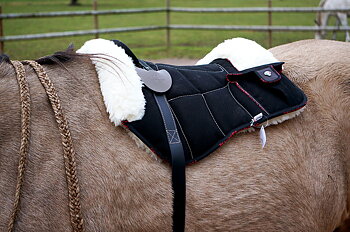 Pioneer® Ridpad Barbacka i bomullscanvas & ull, svart