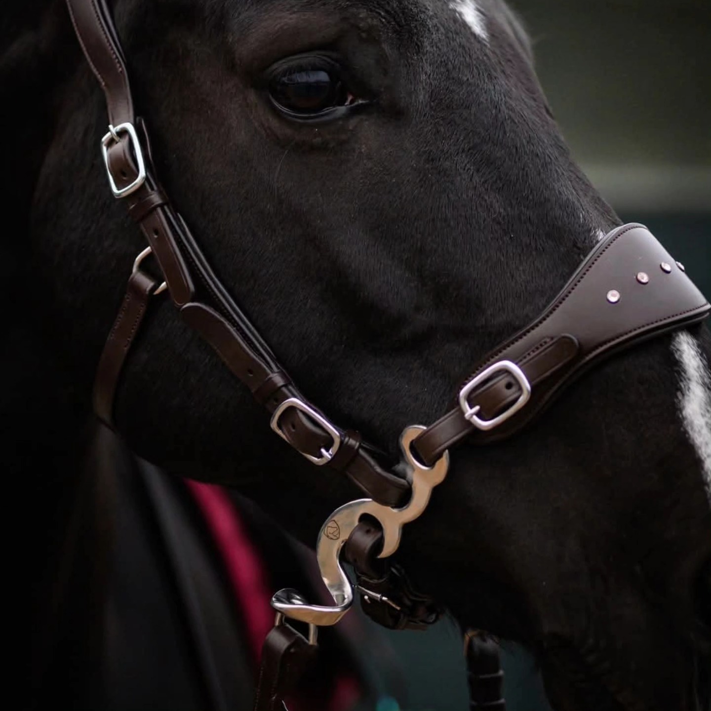Hackamore EDIX® 'Adore', nosepart + curbstrap - 5