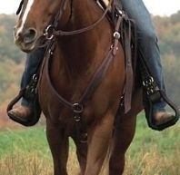 Barefoot  Variable Breastplate Darkbrown - 3