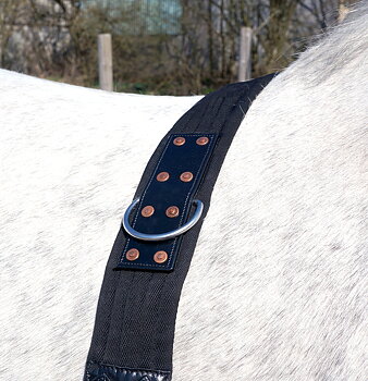 Lead Horse girth