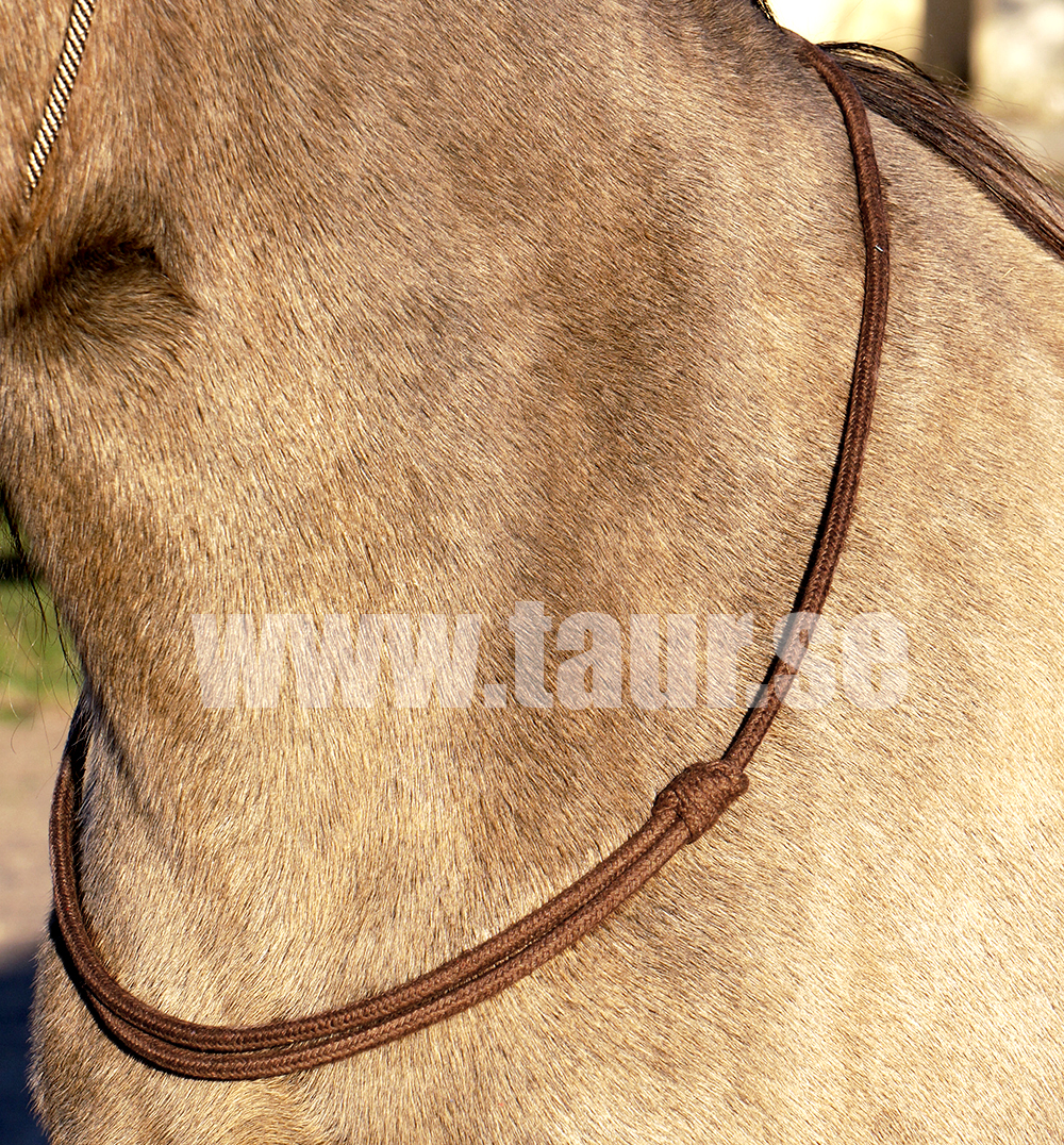 Neck ring / cordeo Brockamp (stiff), blue - 2