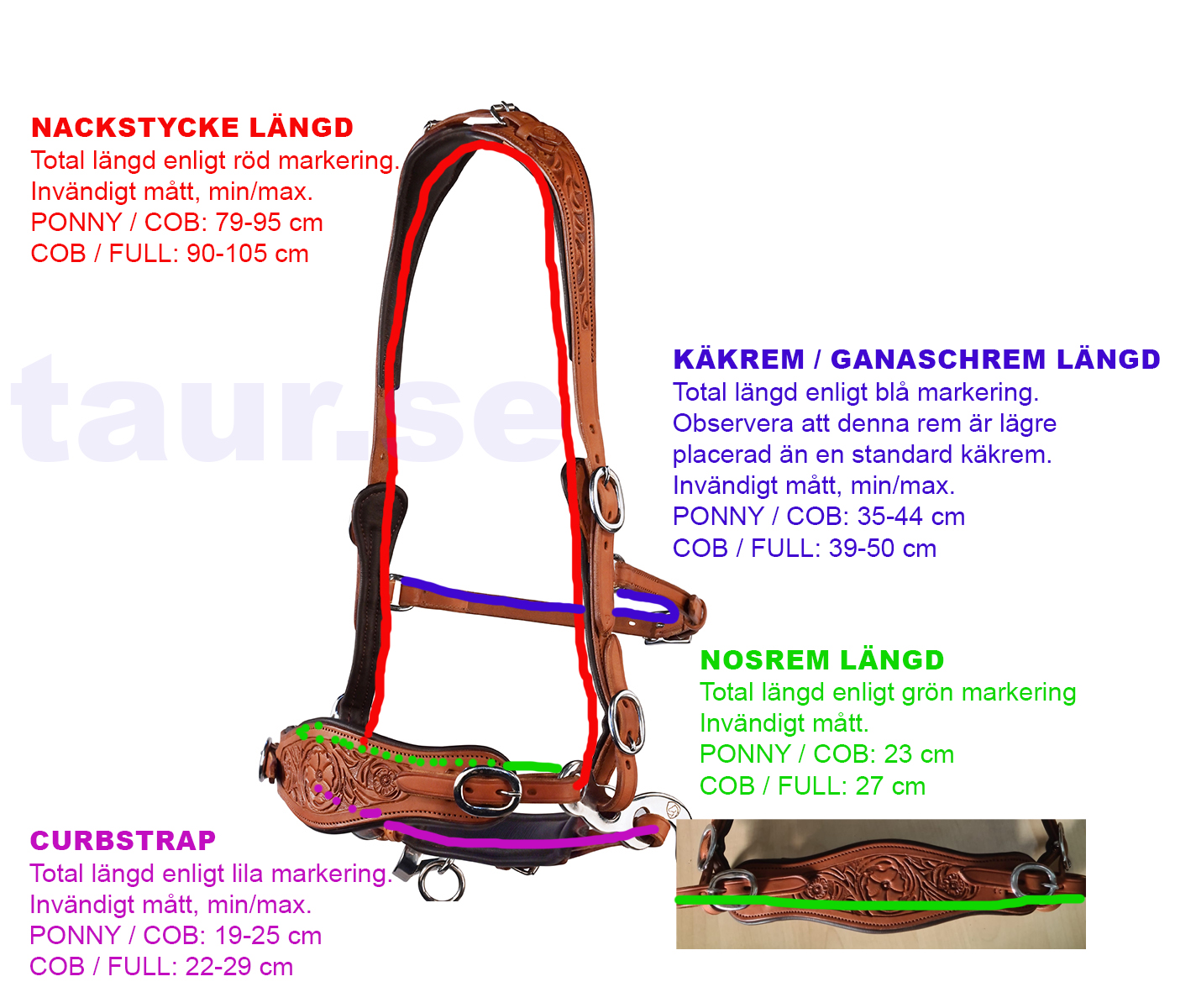 Hackamore bridle Anatomical, Edix© Rose, cognac - 7