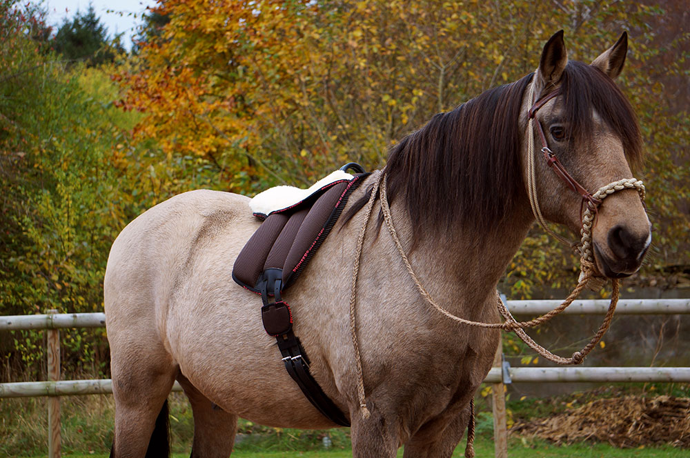 Pioneer® Ride pad / Barebackpad SPECIAL (AirMesh and merino wool), brown - 6