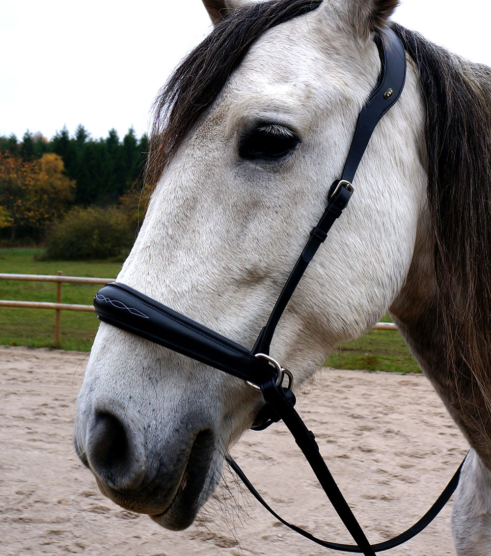 F.R.A® Alizée Mistral Sidepull incl. reins - 2