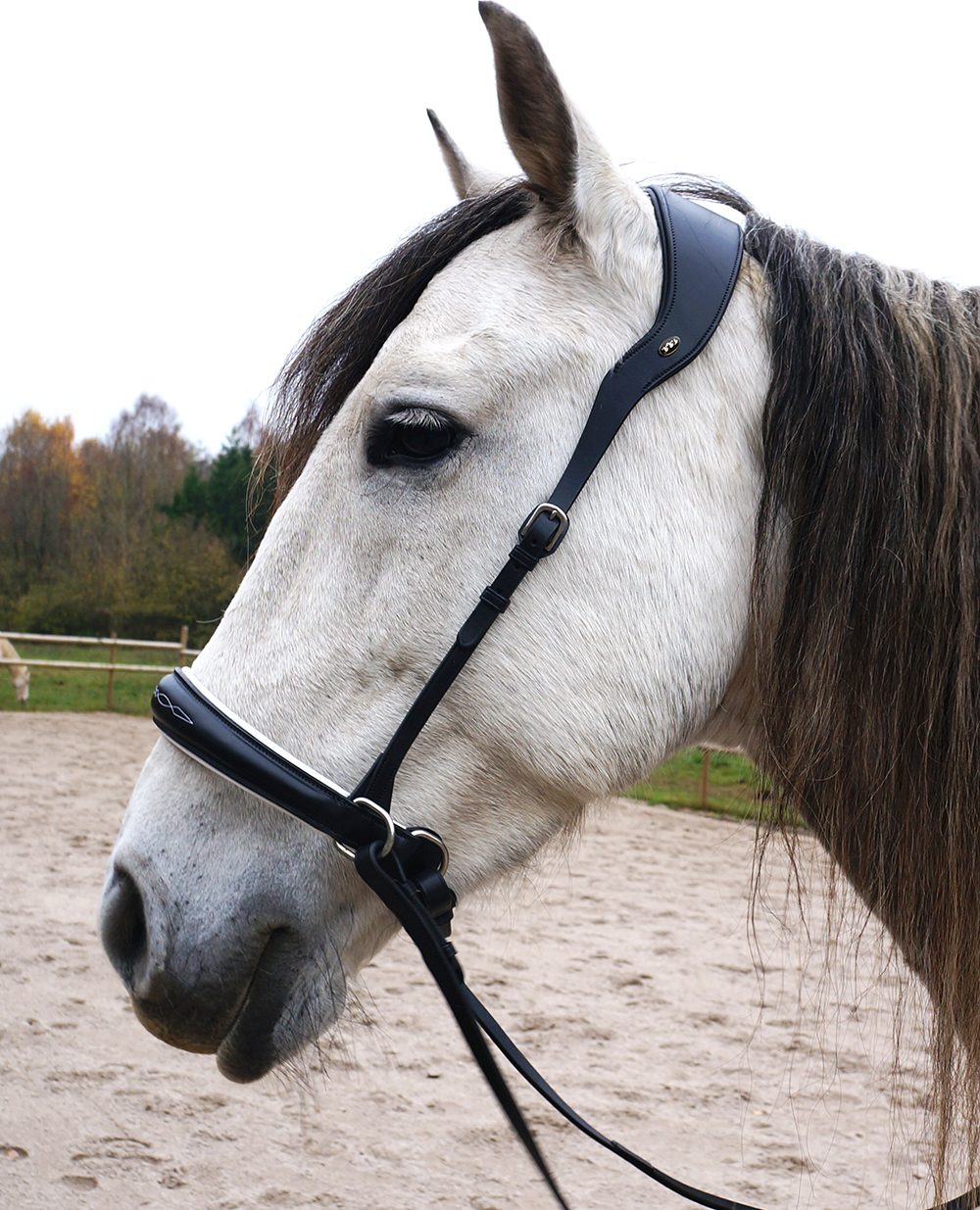 F.R.A® Alizée Mistral Sidepull incl. reins - 3