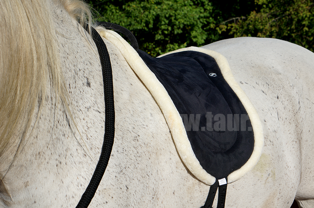 Ride pad / bareback pad QHP, black, pony - 4