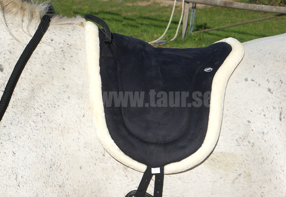 Ride pad / bareback pad QHP, black, pony - 3