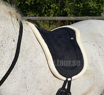 Barbacka / ridpad QHP, svart, ponny