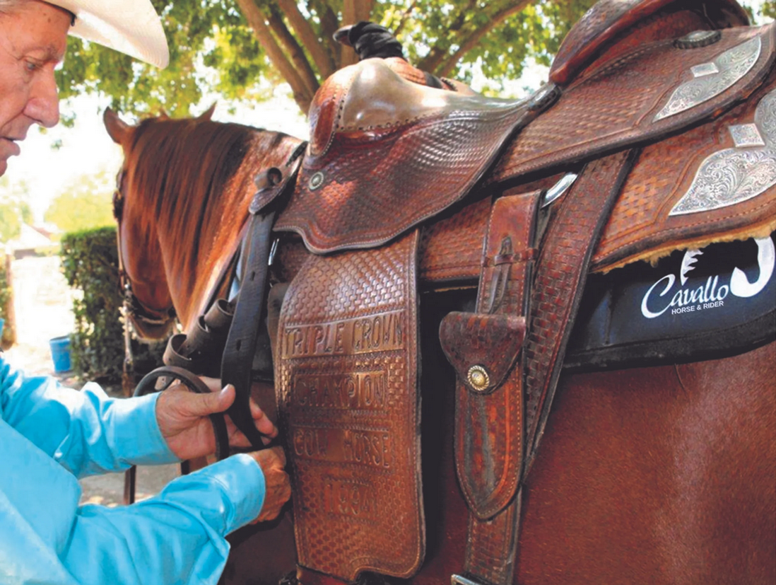 Cavallo Full Monty Western Saddle Pad - 4
