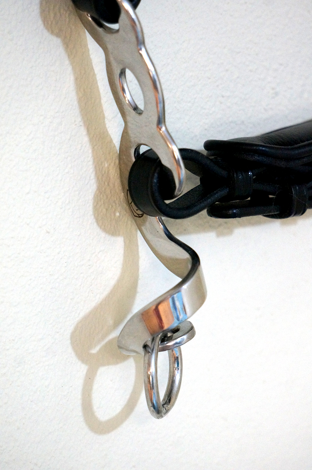Hackamore Edix© Q-Classic (shanks+ nosepart + curbstrap) - 8