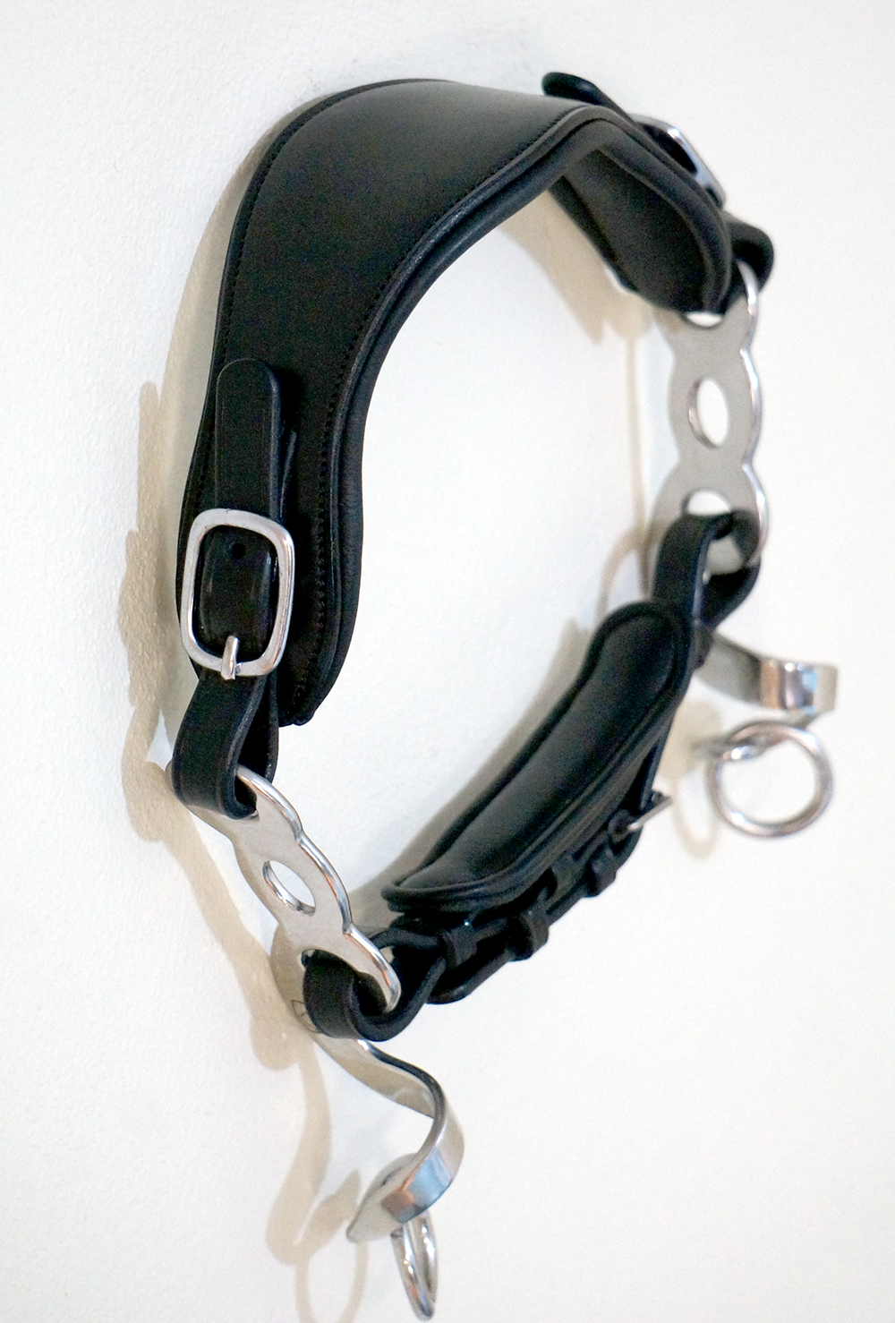Hackamore Edix© Q-Classic (shanks+ nosepart + curbstrap) - 7