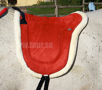 Barbacka / ridpad QHP, röd, full