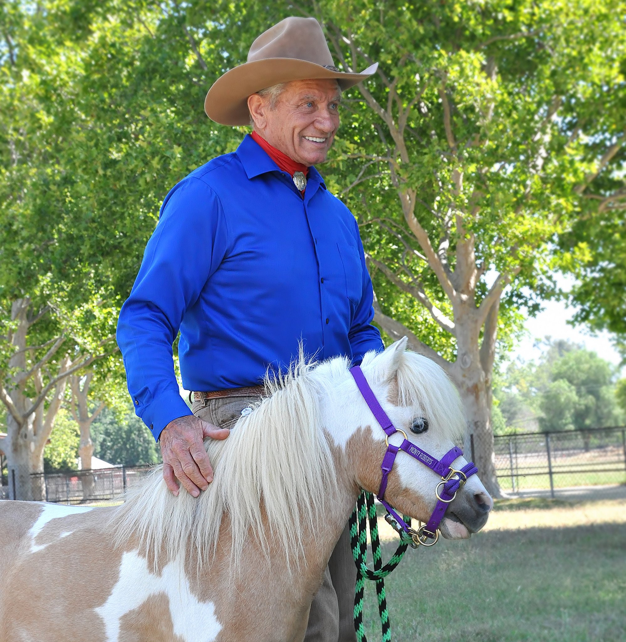 Monty Roberts DUALLY™  purple / Mini, small ponies - 2
