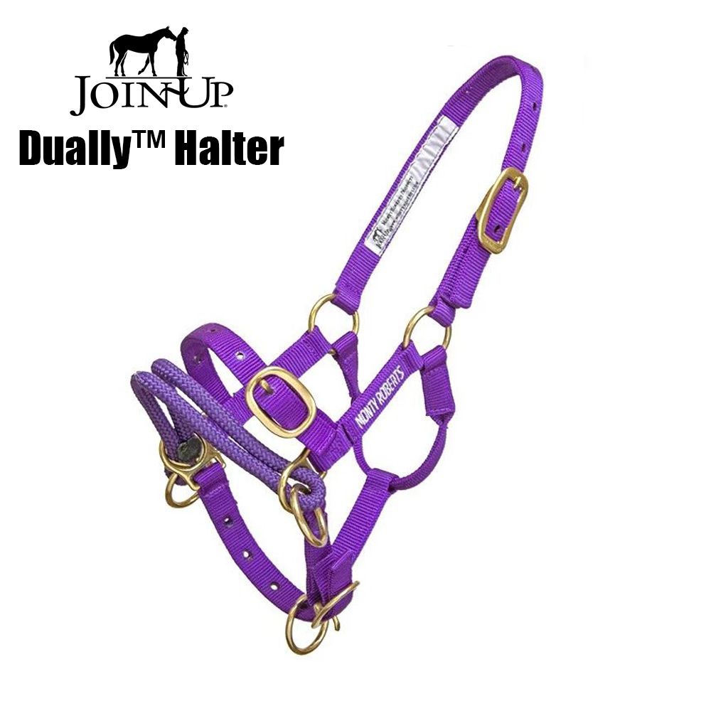 Monty Roberts DUALLY™  purple / Mini, small ponies