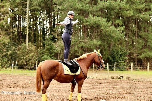 F.R.A® ride pad / bareback saddle Bisco, cream, cob/full - 9