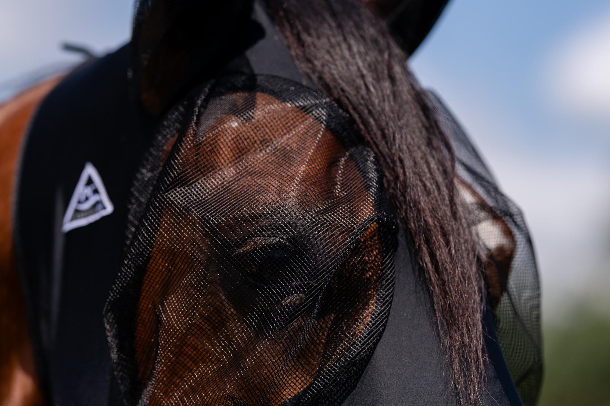 Professional's Choice® Fly Mask (with ears) Comfort-Fit™, Armadillo - 4