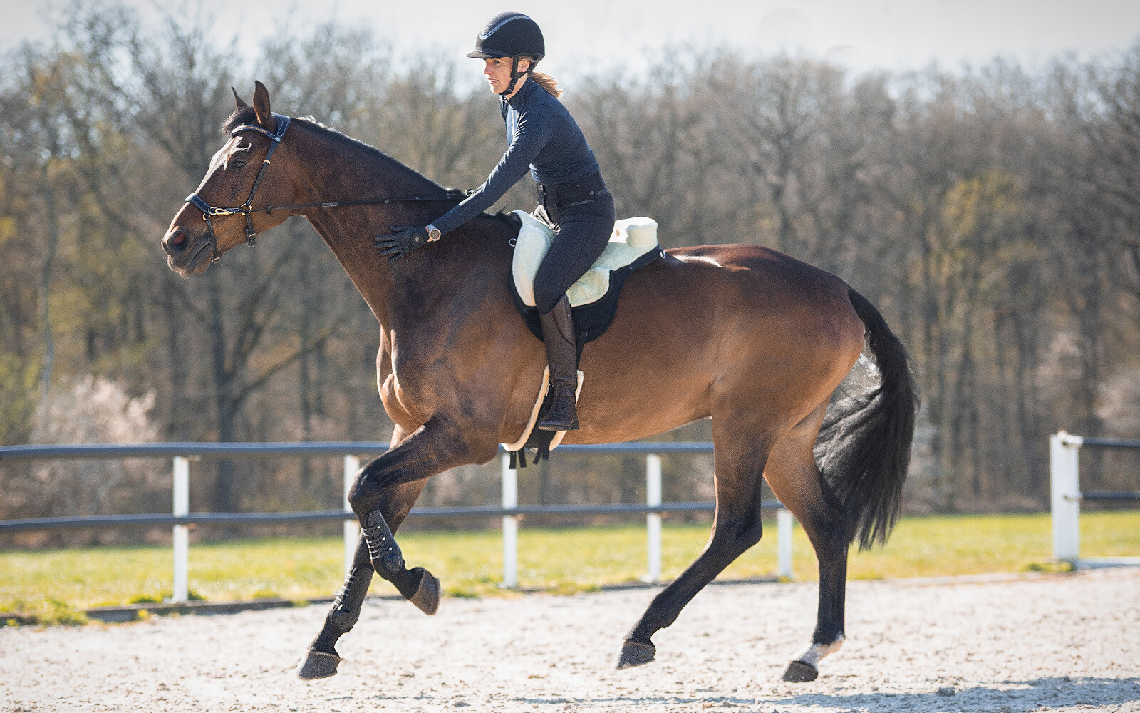 QHP barbackasadel / ridpad SuperSoft (2-i-1), svart, shettis - 4