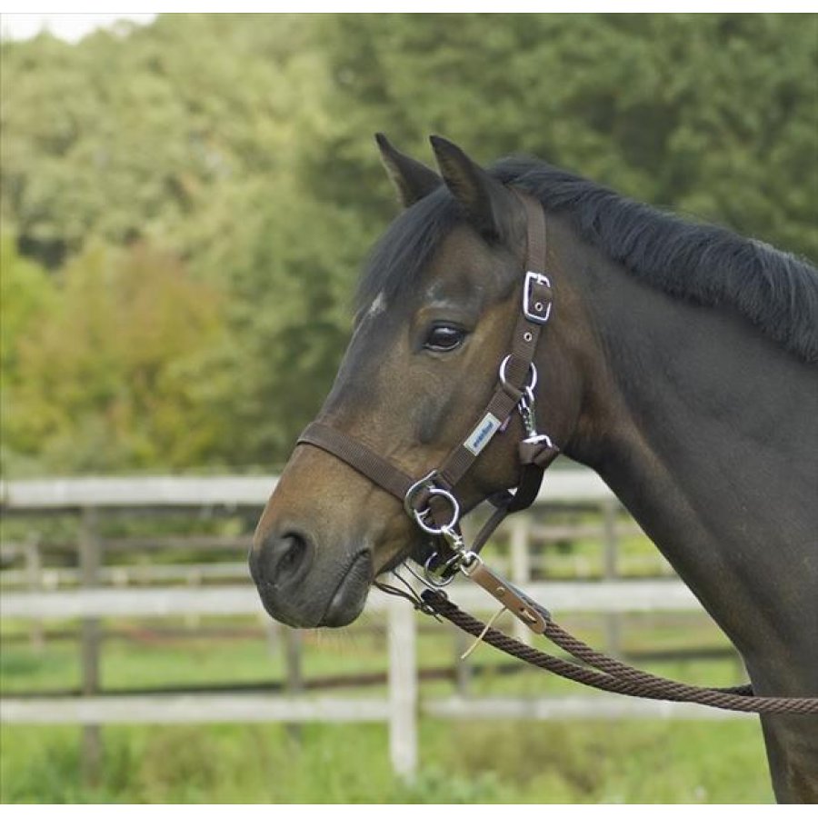 Headcollar Riding, black - 3