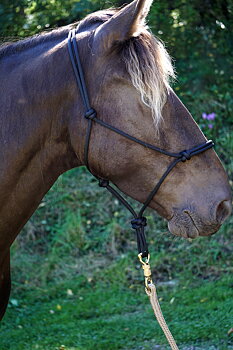 Rope halter Double Diamond #125 (allround) - black