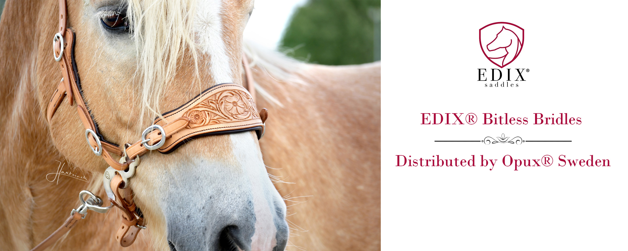 BITLESS BRIDLES EDIX OPUX