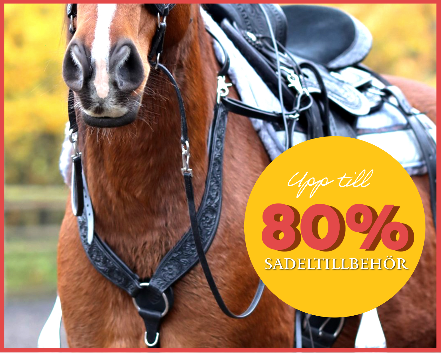Campaign saddle accessoires