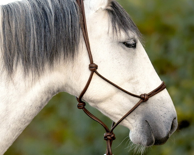 NYHET! Repgrimma i läder! 
