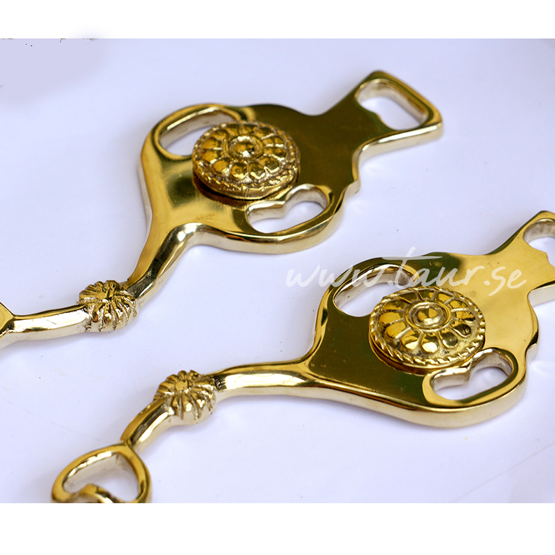 Hackamore scissors