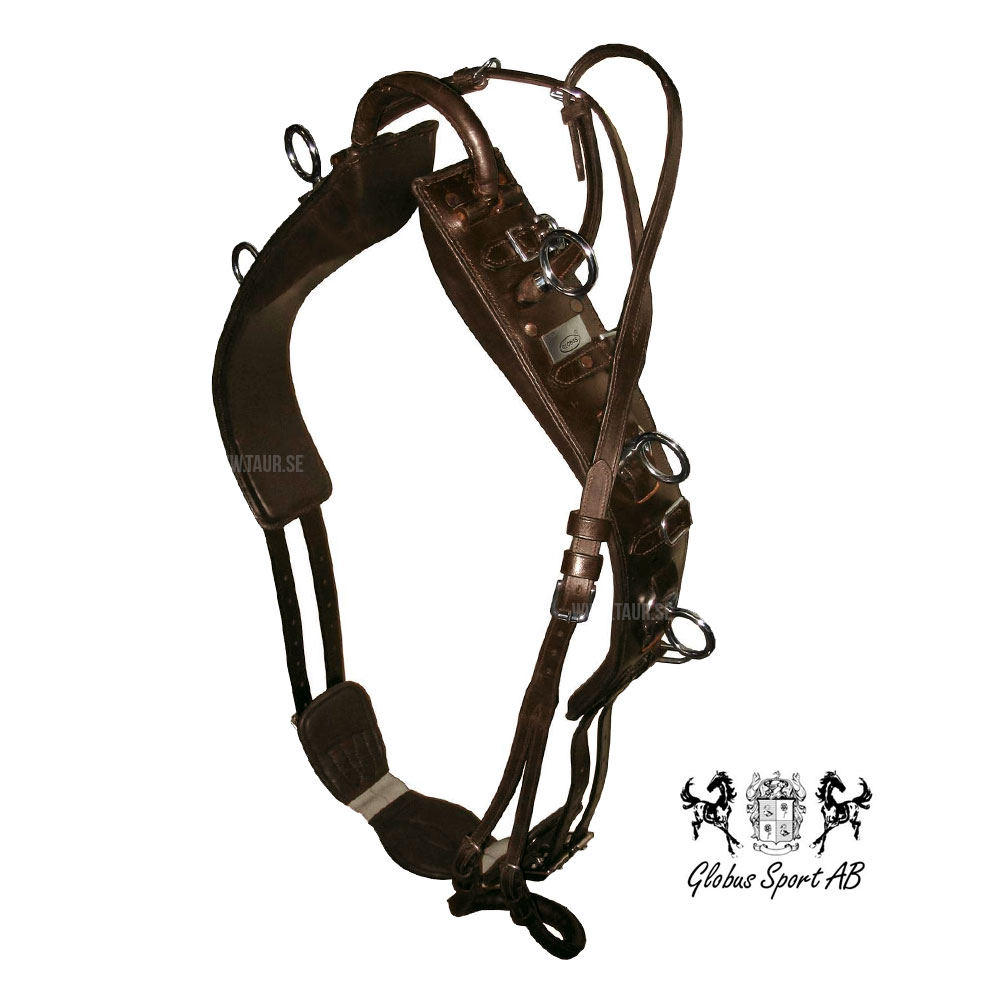 Natural Horsemanship & träning
