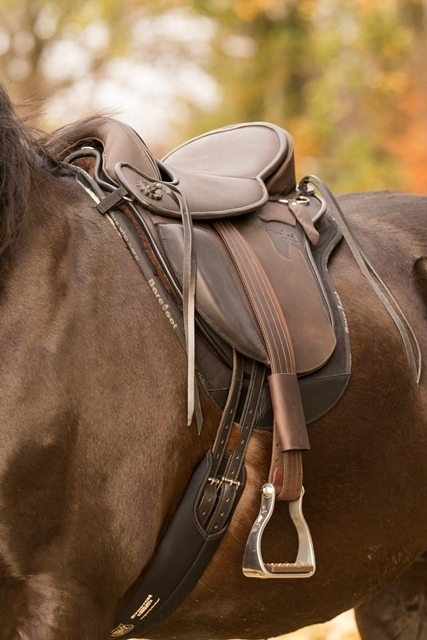 Saddles