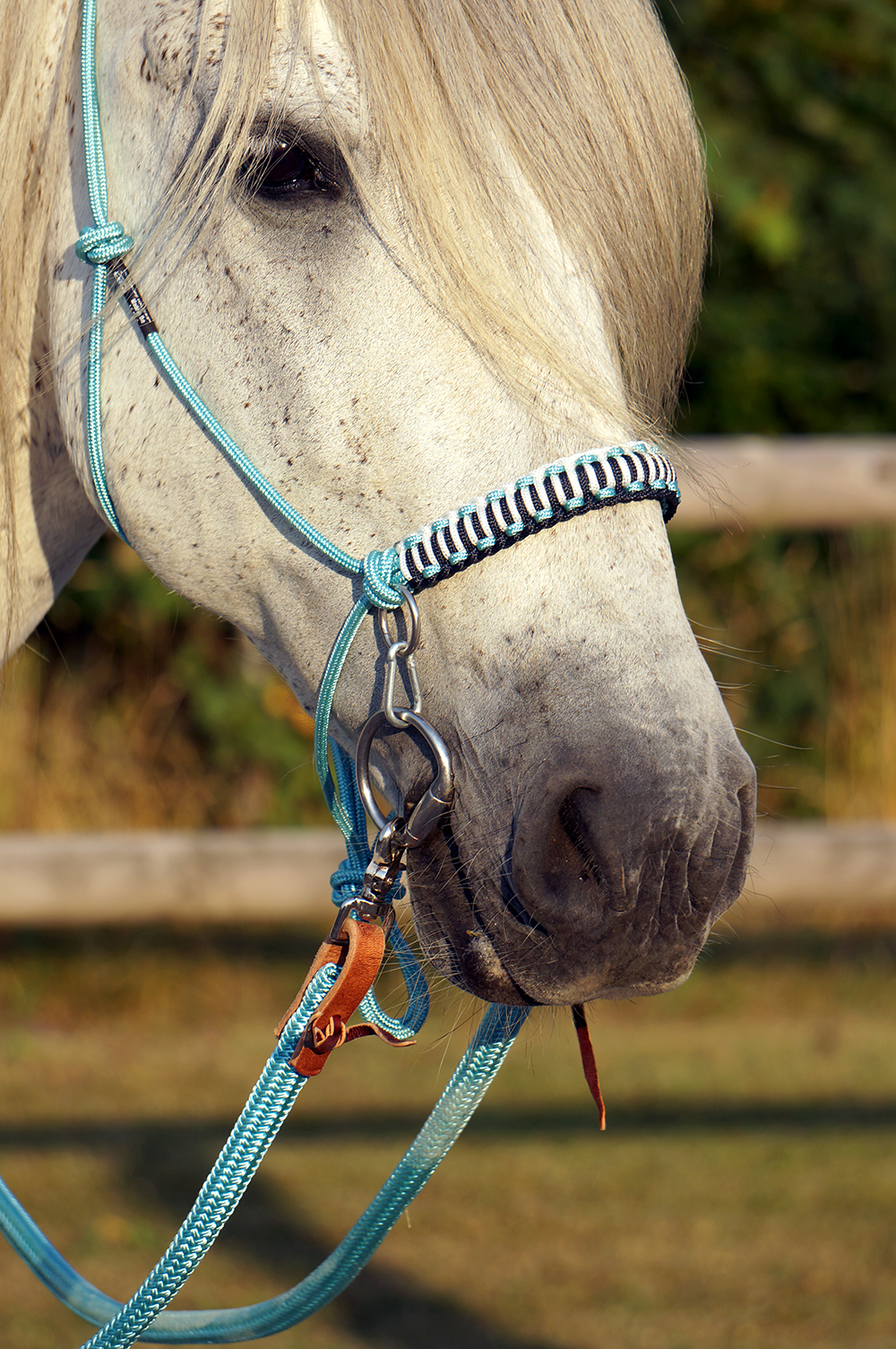 Bridles and reins