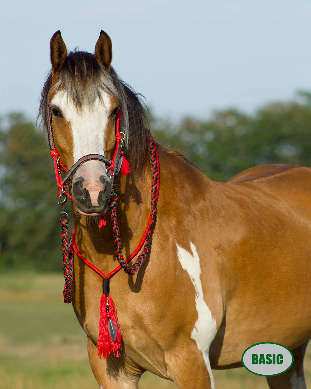 OUTLET - NATURAL HORSEMANSHIP / MARKARBETE