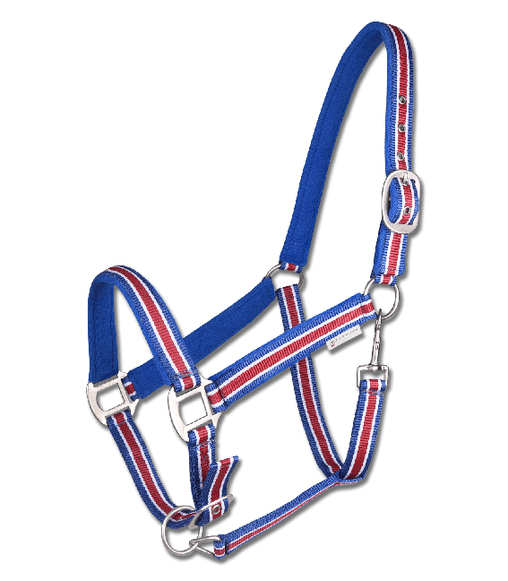 Natural Horsemanship & träning