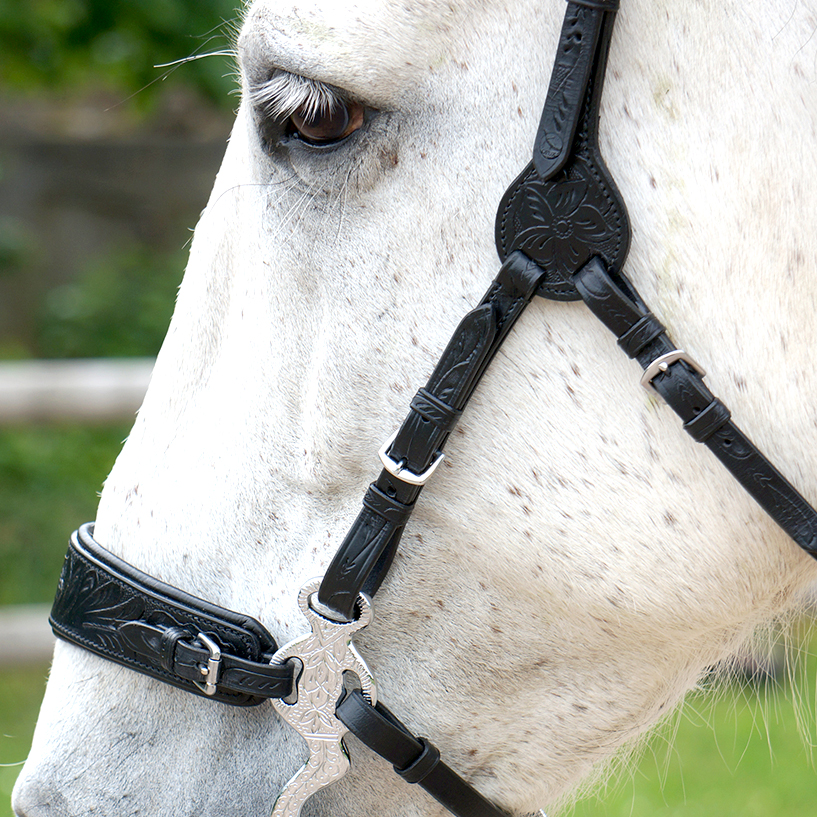 Headstalls for hackamore