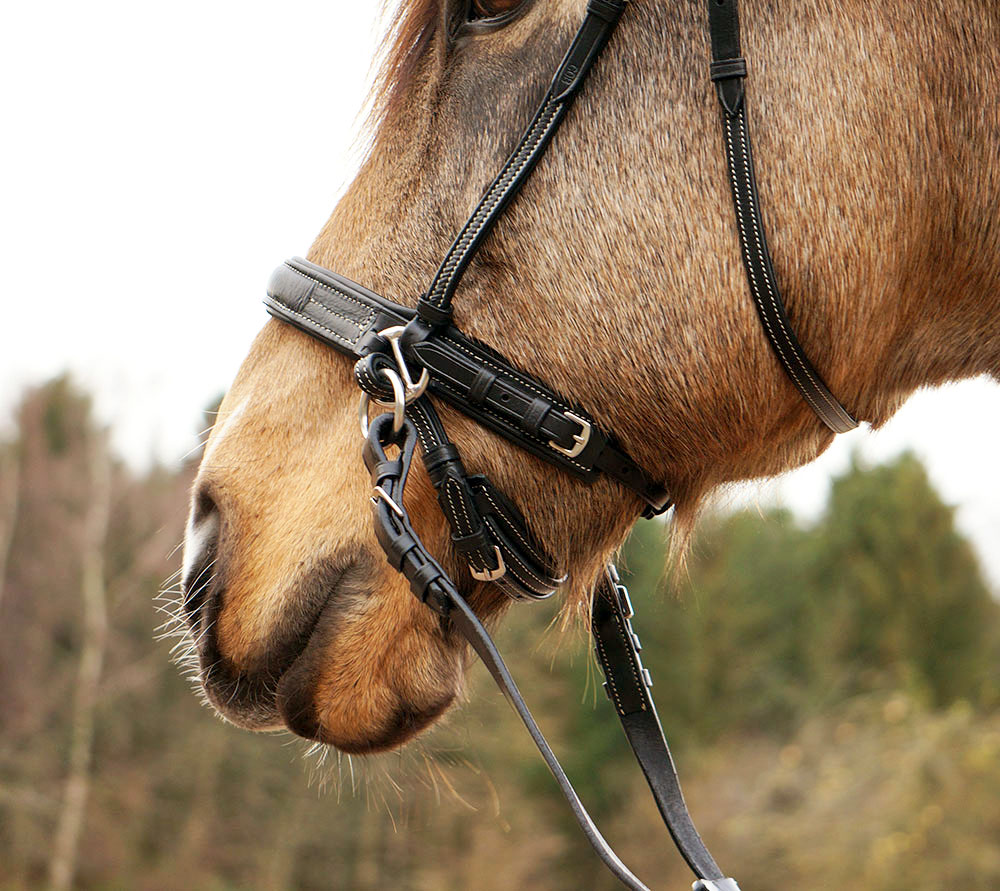Bitless bridle CrossUnder