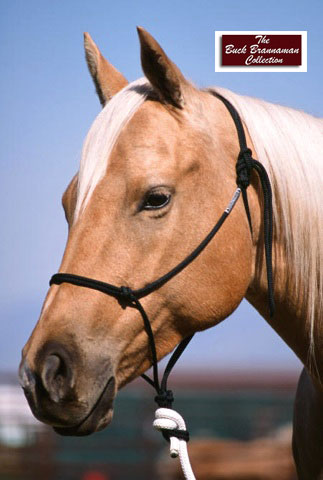 Rope halters PRO